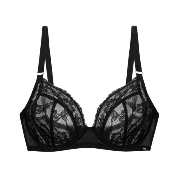 EMORY BRIEF