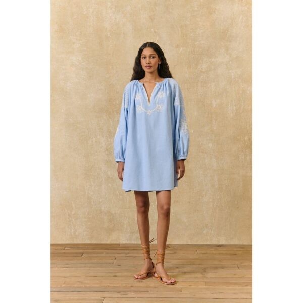 Janice Mini Dress with Embroidered Long Sleeves