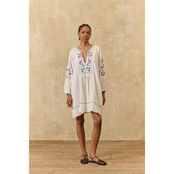 Janicianne Embroidered Mini Dress with Long Sleeves